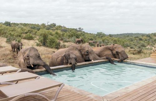 Maruleng Cabina | Isambane Camp