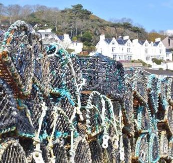 Aberdovey Casa | Isfryn, holiday home in Aberdyfi