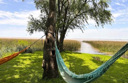 Segunda Sección Casa | Isla Chana Reserva Punta Morán
