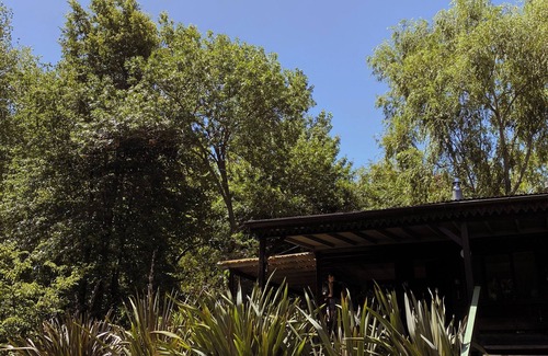 Segunda Sección Cabaña | Isla Chana Reserva Punta Morán