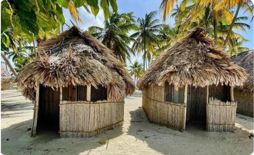 Carti Tupile Cama Y Desayuno | ISLA IGUANA San-blas GUNAYALA Panamá
