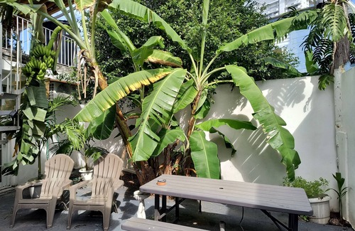 San Juan Casa | Isla Verde Beach -Bars-Restaurants Great for Near Airport Stop-N-Go