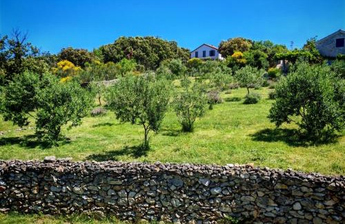 Sveti Jakov Apartamento | Island Cres Stivan beautiful views