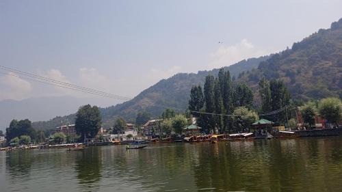 Dal Lake Casa | Island homestay in dal lake