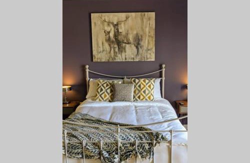 Downpatrick Apartamento | Island View