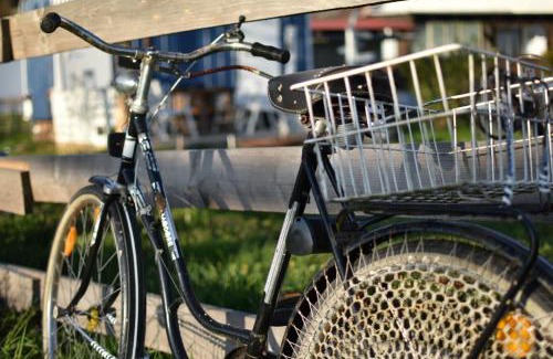 Glott Otro | Islandpferdehof Seelengrübchen - Ferien im Bauwagen