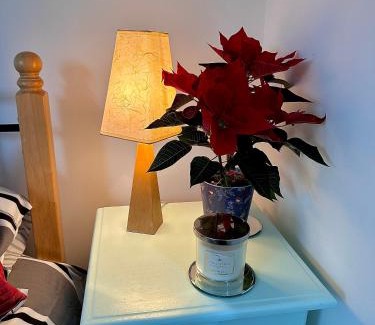 Coleraine Apartamento | Islay View- Double Bed Apartment (NITB APPROVED)