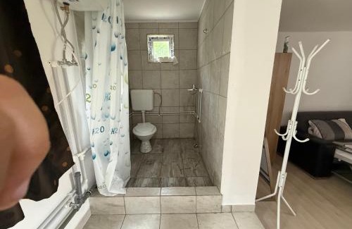 Sangeorgiu de Padure Casa | István