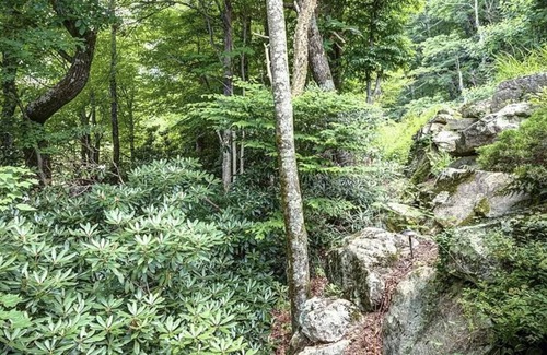 Blowing Rock Cabaña | It’s time to plan your summer get away!