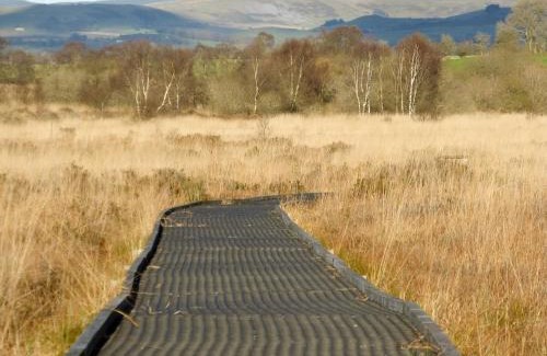 Llanddewi Brefi Casa | Ivy Bush Cottage