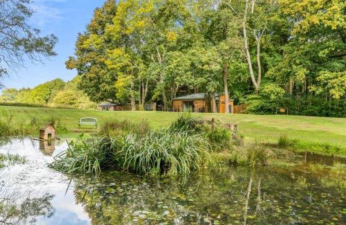 New Forest District Casa | Ivy Cottage Holiday Cabins