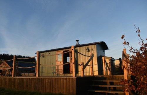 Rhayader Casa | Ivy's Way