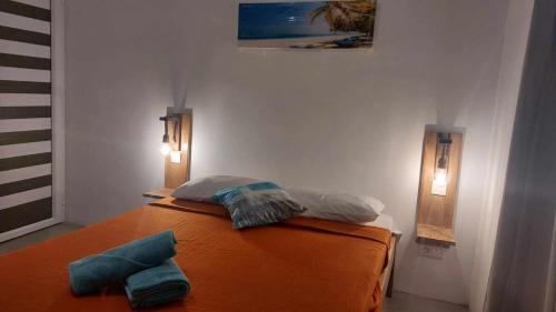 Coromandel Cabina | IZAVA LODGE