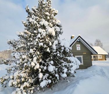 Valga Casa | Jõesuu saunamaja