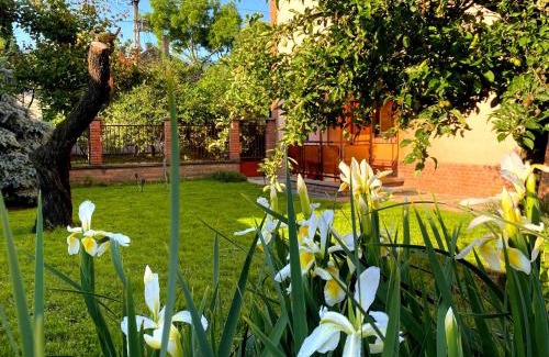 Szeged Apartamento | Júlia Apartmanház