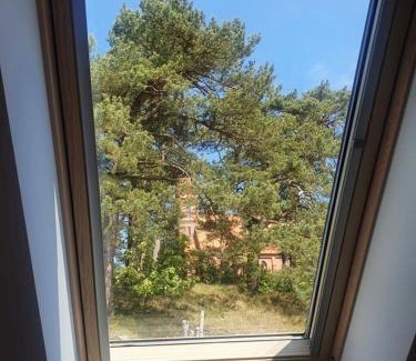 Nida Apartamento | Jūrena