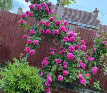 West Thurrock Casa | J S mentions