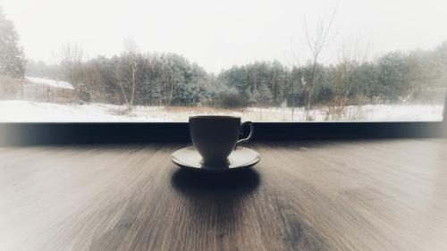 Adamow Apartamento | Jaśkowa Stodoła