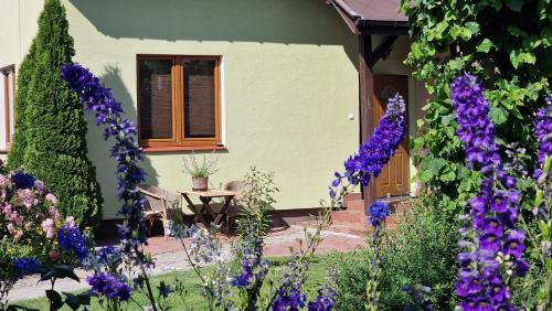 Pila Casa | "Jabłonie i grusze" Nice home in a big garden with sauna and wifi