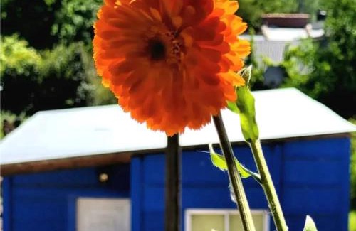 Las Flores Apartamento | JACARANDA Alojamiento Temporario