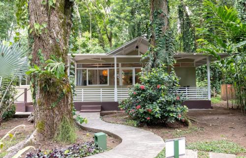 Cocles Hotel | Jaguar Inn Bungalows