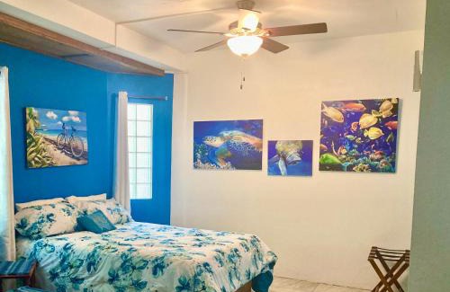 Cayo Corker Casa | JAGUAR MORNING STAR