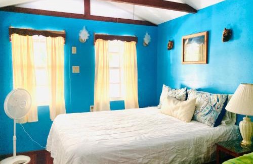 Cayo Corker Casa | JAGUAR MORNING STAR