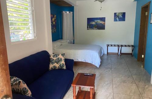 Cayo Corker Casa | JAGUAR MORNING STAR