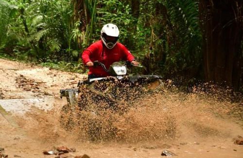 Franks Eddy Otro | Jaguar Paw Cave And Jungle Expeditions