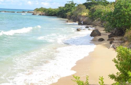 Lucea Apartamento | Jamaica Tranquility
