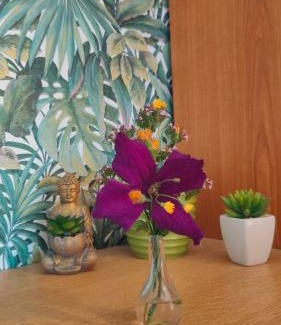 Lohfelden Casa | Jan's homestay! #Kassel-Lohfelden
