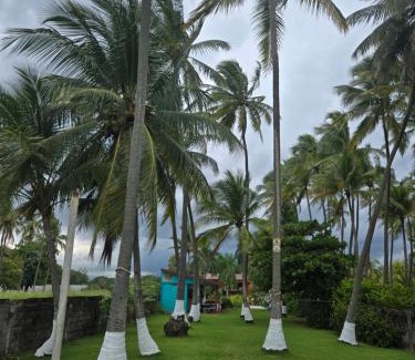 Barranca Hotel | Jane's Beach Resort