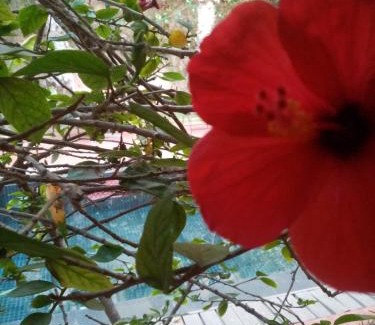 Sidi Ifni Casa | Janna d'Ifni