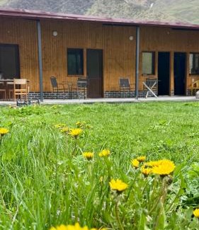 Kazbegi Apartamento | Januka Studio