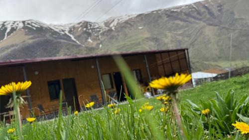 Kazbegi Apartamento | Januka Studio
