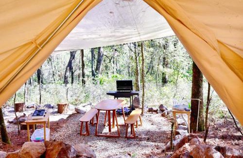 Omitlán de Juárez Apartamento | Japi Japi Glamping Premium