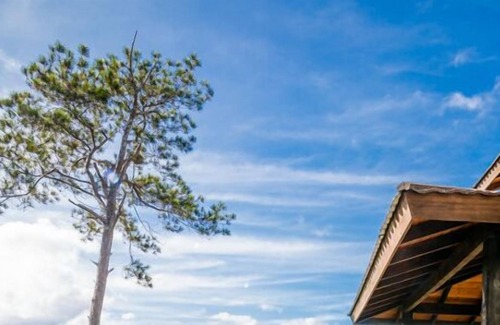 Jarabacoa Cabina | Jarabacoa Villas Ecolodge