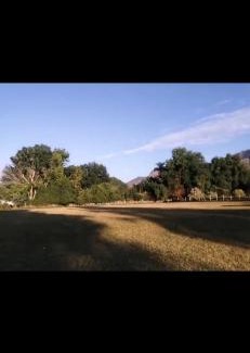 Tepoztlán Otro | Jardín El Cocodrilo