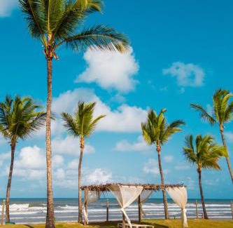 Sao Francisco Complejo | Jardim Atlântico Beach Resort