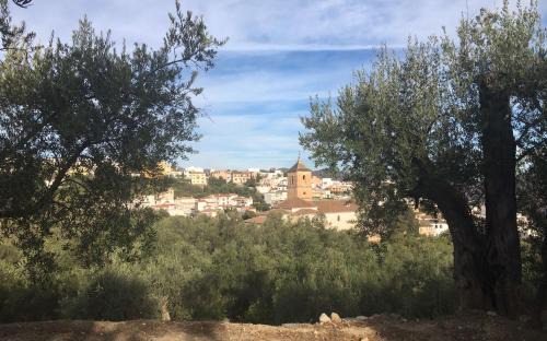 Pinos del Valle Apartamento | Jardin Andaluz Appart Alhambra