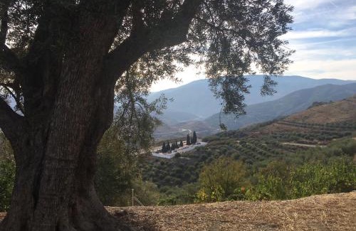 Pinos del Valle Apartamento | Jardin Andaluz Appart Alhambra