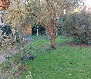Agen Villa | Jardin Dangla "Classé de tourisme 3 étoiles "