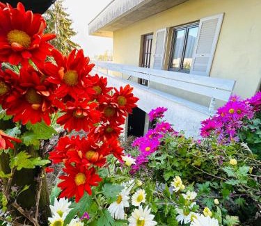 Riazzino Apartamento | Jasmina