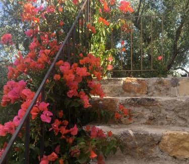 Agios Ioannis Casa | Jasmine Village House