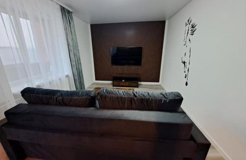 Siauliai City Center Apartamento | Jaukūs apartamentai centre A. J. Greimo g.