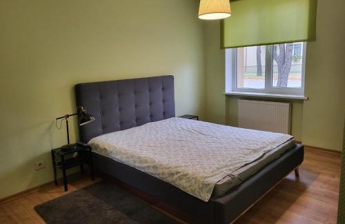 Siauliai County Apartamento | Jaukūs svečių apartamentai Naujojoje Akmenėje