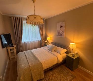 Panevezys county Apartamento | Jaukus apartamentas Birzu centre