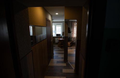 Siauliai City Center Apartamento | Jaukus butas pačioje miesto širdyje