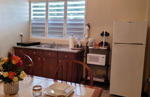 Jayuya Apartamento | Jayuya - Cozy Aparment with Wi-Fi, Free Parking and A/C