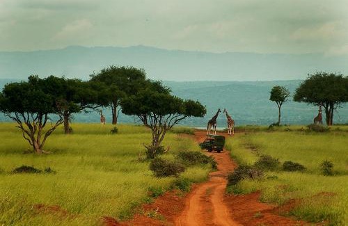 Kabale Otro | JB heartfelt tours and travels